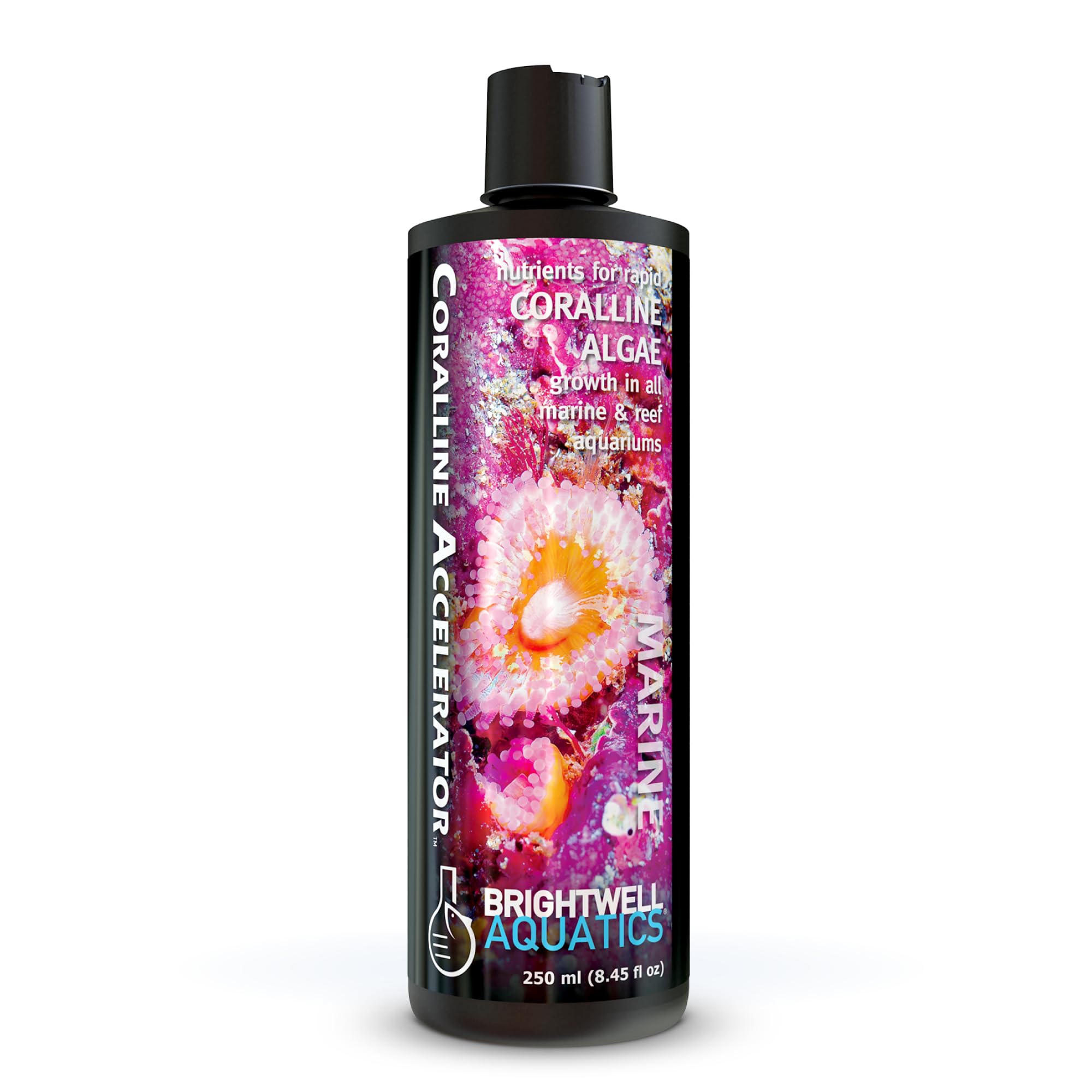 Coralline Accelerator 250ml / Brightwell Aquatics
