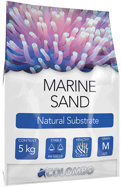 Marine Sand M: 2-3mm 5kg / Colombo