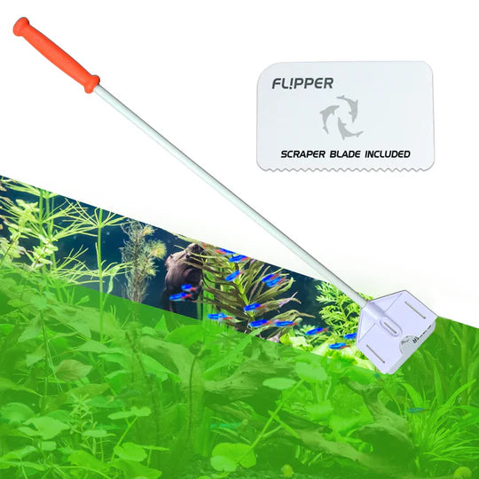 Platinum Scraper 71cm / Flipper
