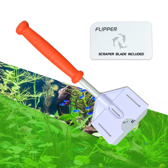 Platinum Scraper 25cm / Flipper