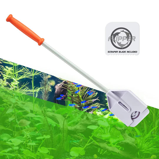 Platinum Scraper 30cm / Flipper