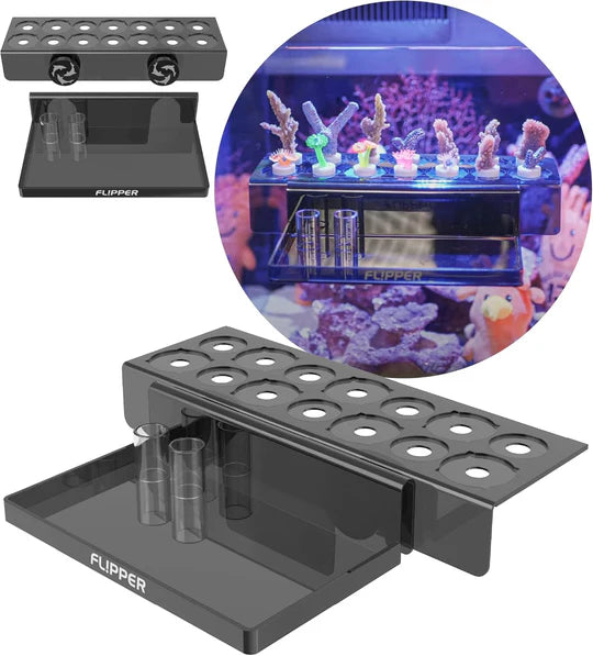 Frag Station / Flipper