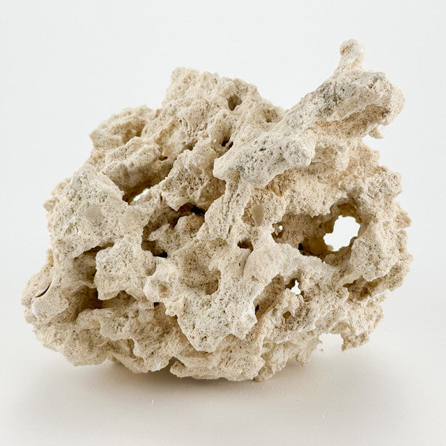 Reef Saver 1kg / Marco Rocks