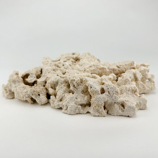 Foundation 10kg / Marco Rocks
