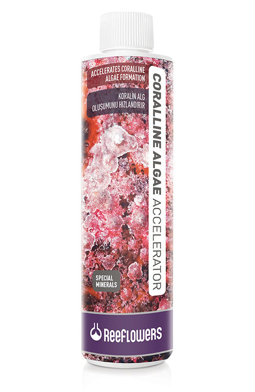 Coralline Algae Accelerator 250ml / Reeflowers
