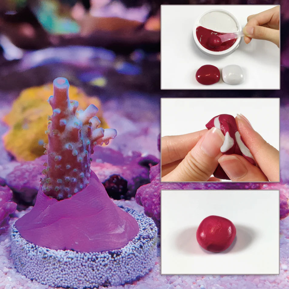 Coral Putty 120g / Maxspect