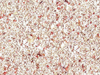 Samoa Pink Gravel (1.7mm - 2.5mm ) 9kg / Natures Ocean